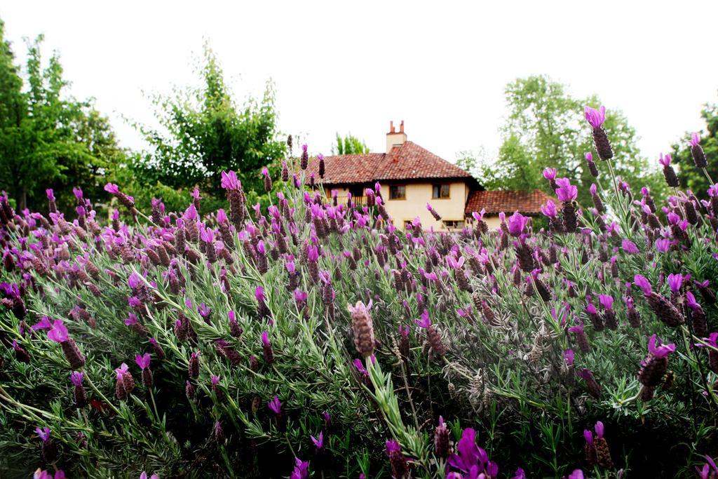 Rancho Caymus Inn Rutherford Bagian luar foto